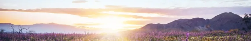 doctors-and-clinics banner