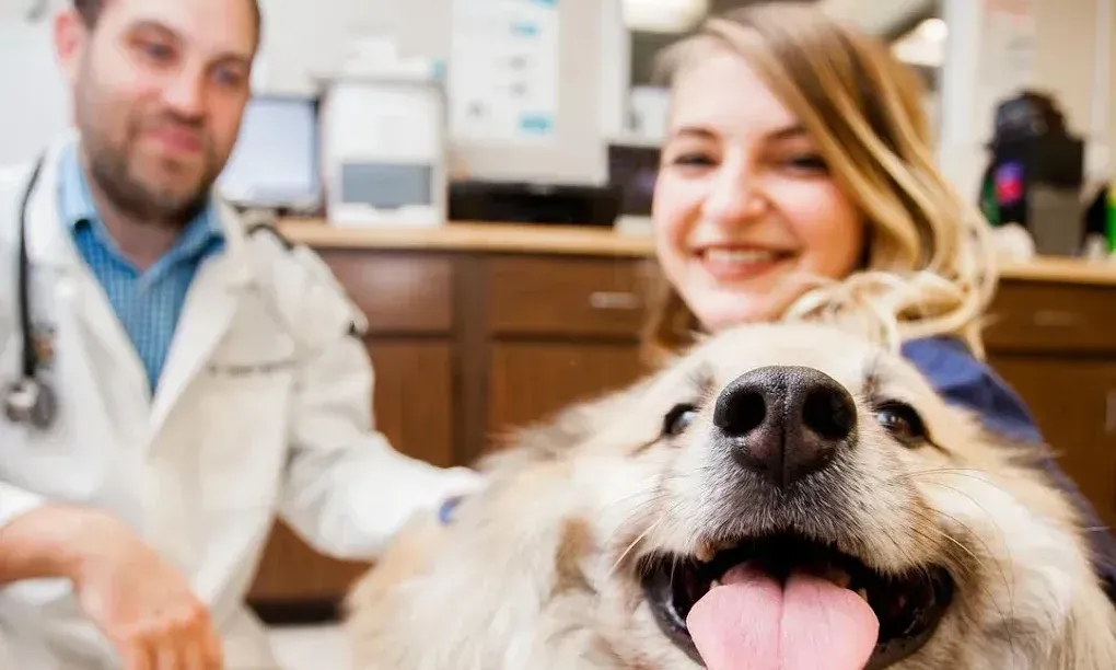 deal for Claim 20% off your pet's physical exam today! Act now to ensure your furry friend stays healthy and save on the visit.
Just let a receptionist know at checkout!