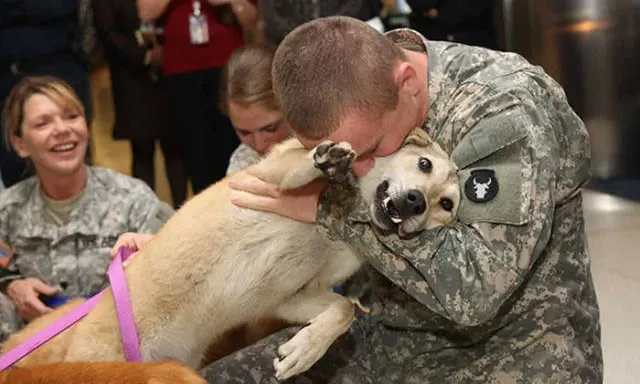 deal for Save 15% on agency fees today! Click 'Claim' now to unlock this exclusive offer and start saving.