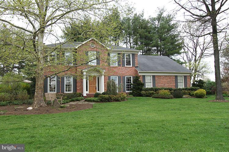 The Valley gallery photo 2