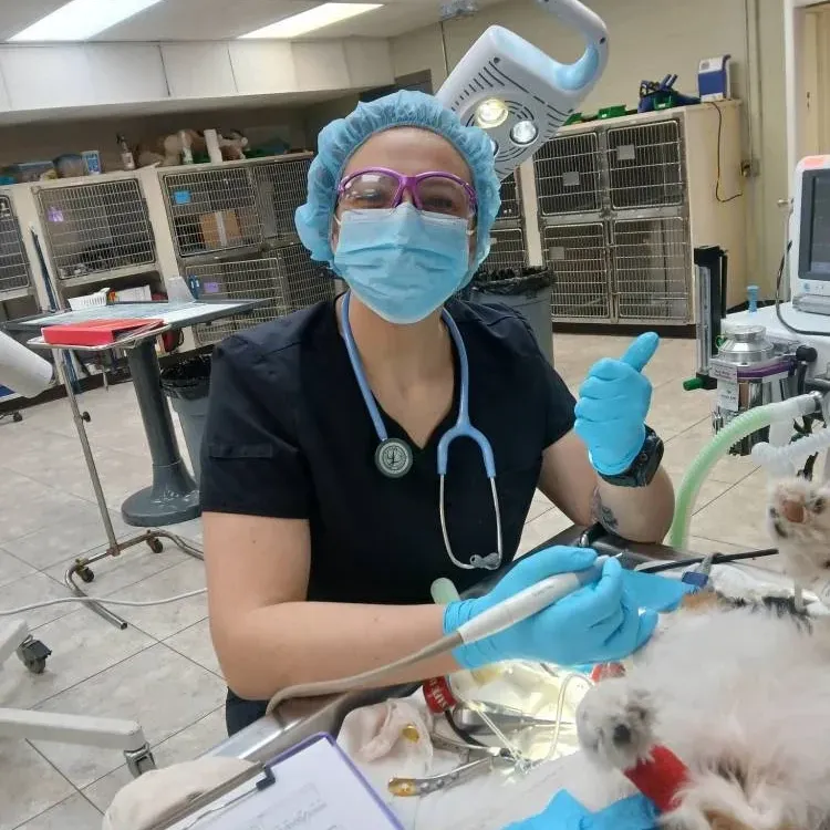 Navy Boulevard Animal Hospital gallery photo 1