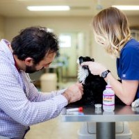 Navy Boulevard Animal Hospital gallery photo 3