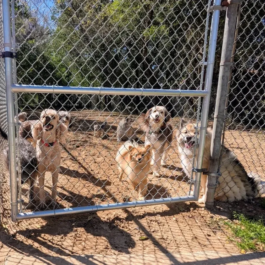 Navy Boulevard Animal Hospital gallery photo 2