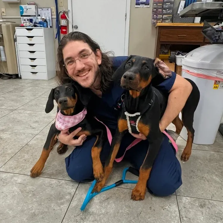 Navy Boulevard Animal Hospital gallery photo 5