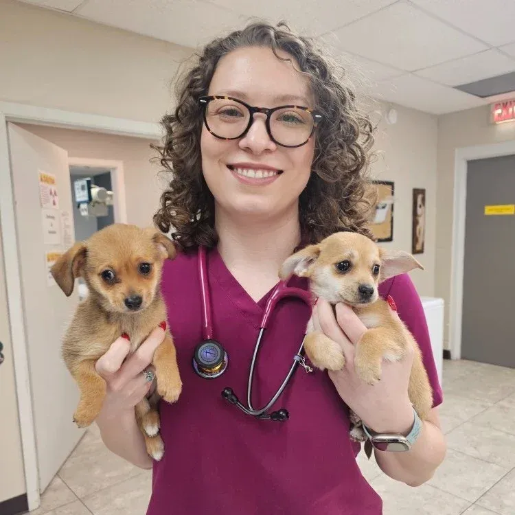 Navy Boulevard Animal Hospital gallery photo 6