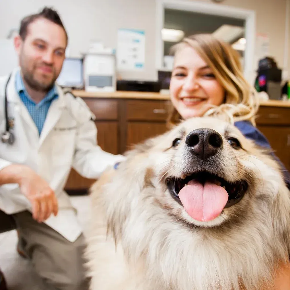 Navy Boulevard Animal Hospital gallery photo 8