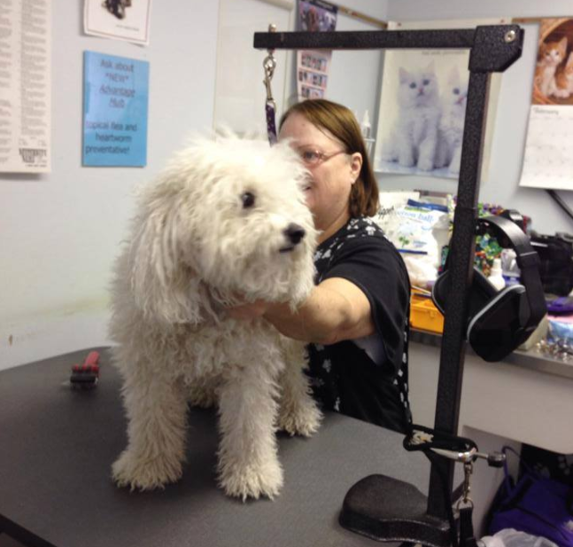 Mascoutah Animal Hospital gallery photo 1