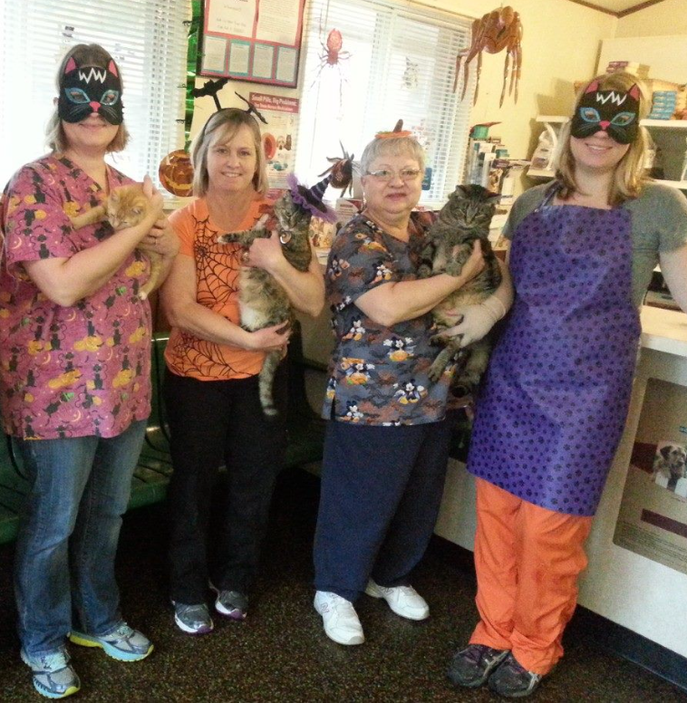 Mascoutah Animal Hospital gallery photo 4