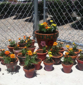 The Treehouse Kids Club gallery photo 6