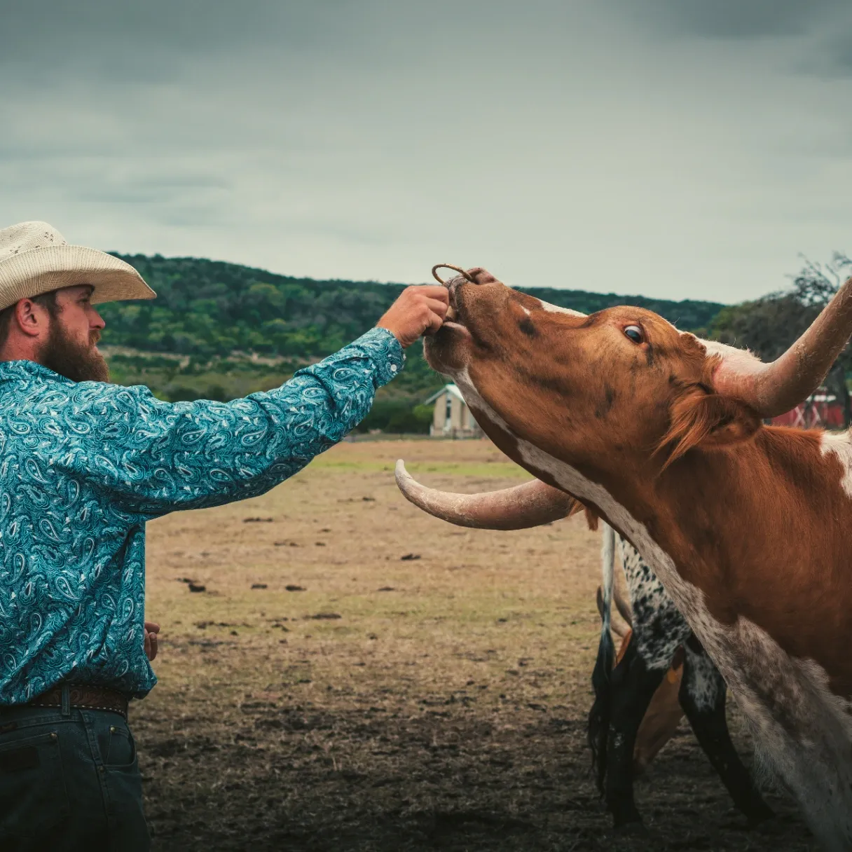 Rancho Cortez gallery photo 8