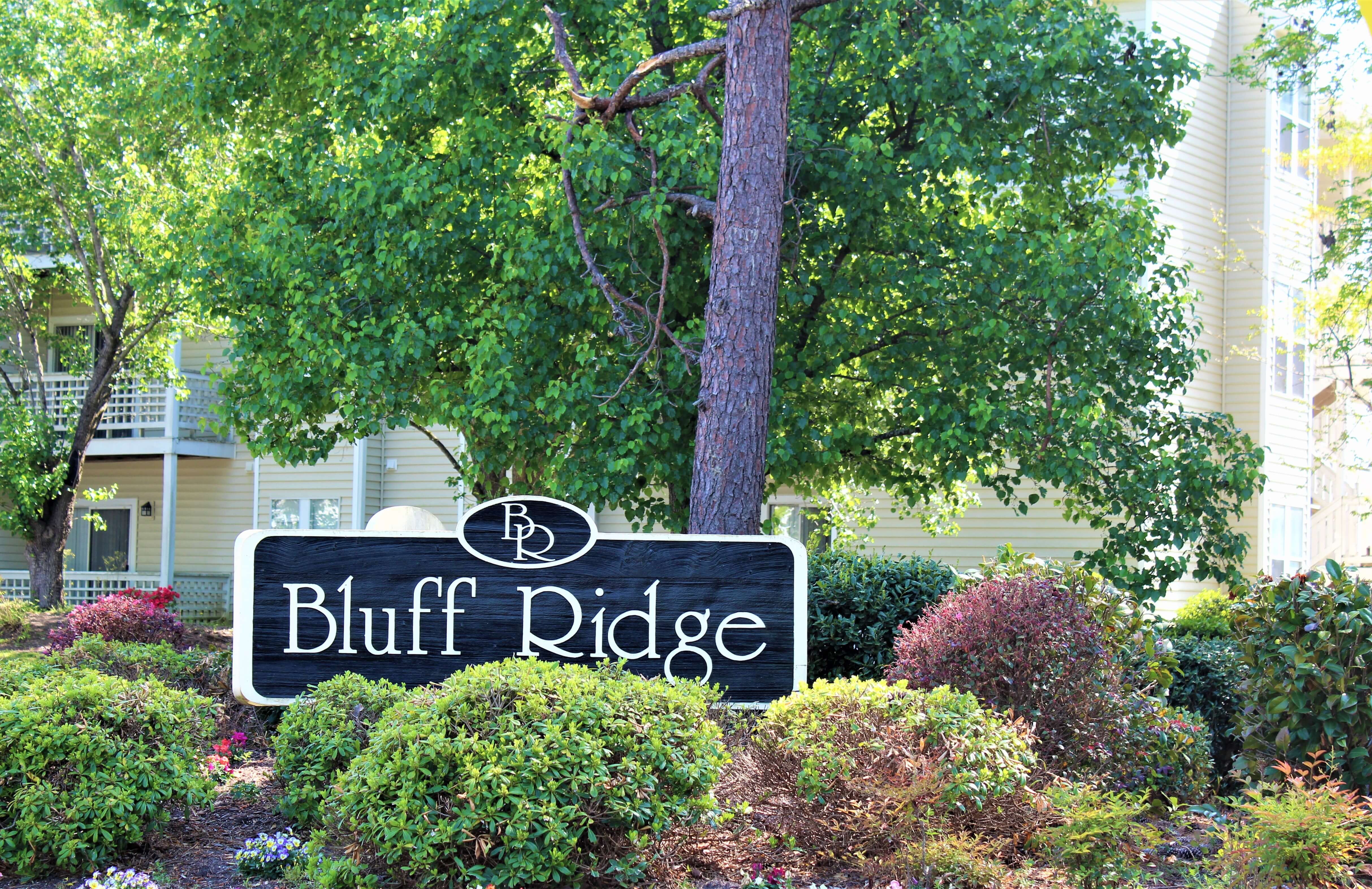 Bluff Ridge Apartment Homes gallery photo 4