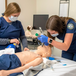 Rose State College gallery photo 5