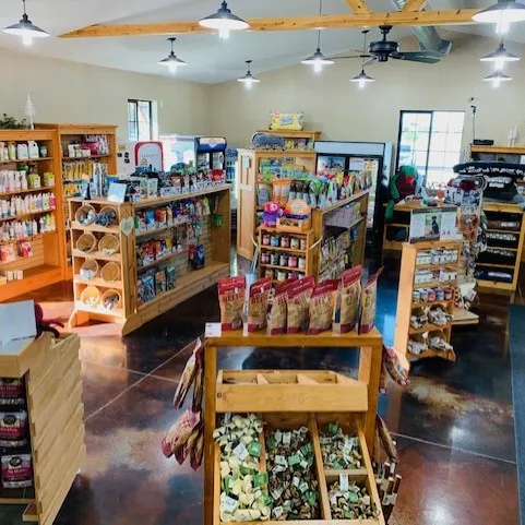 Healthy Paws gallery photo 1