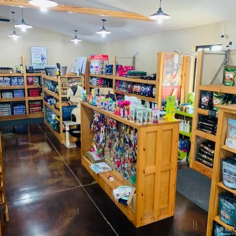 Healthy Paws gallery photo 2