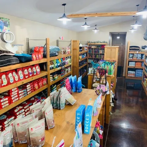 Healthy Paws gallery photo 3