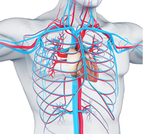 Delaware Cardiovascular Associates gallery photo 2