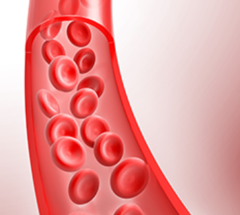 Delaware Cardiovascular Associates gallery photo 5