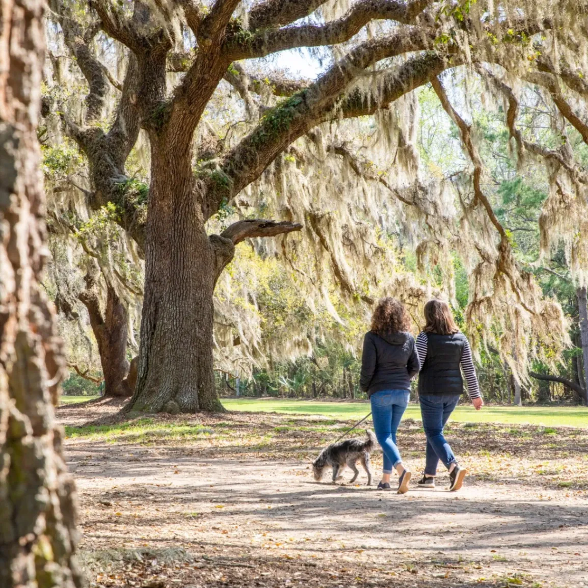 Charleston County Parks gallery photo 7