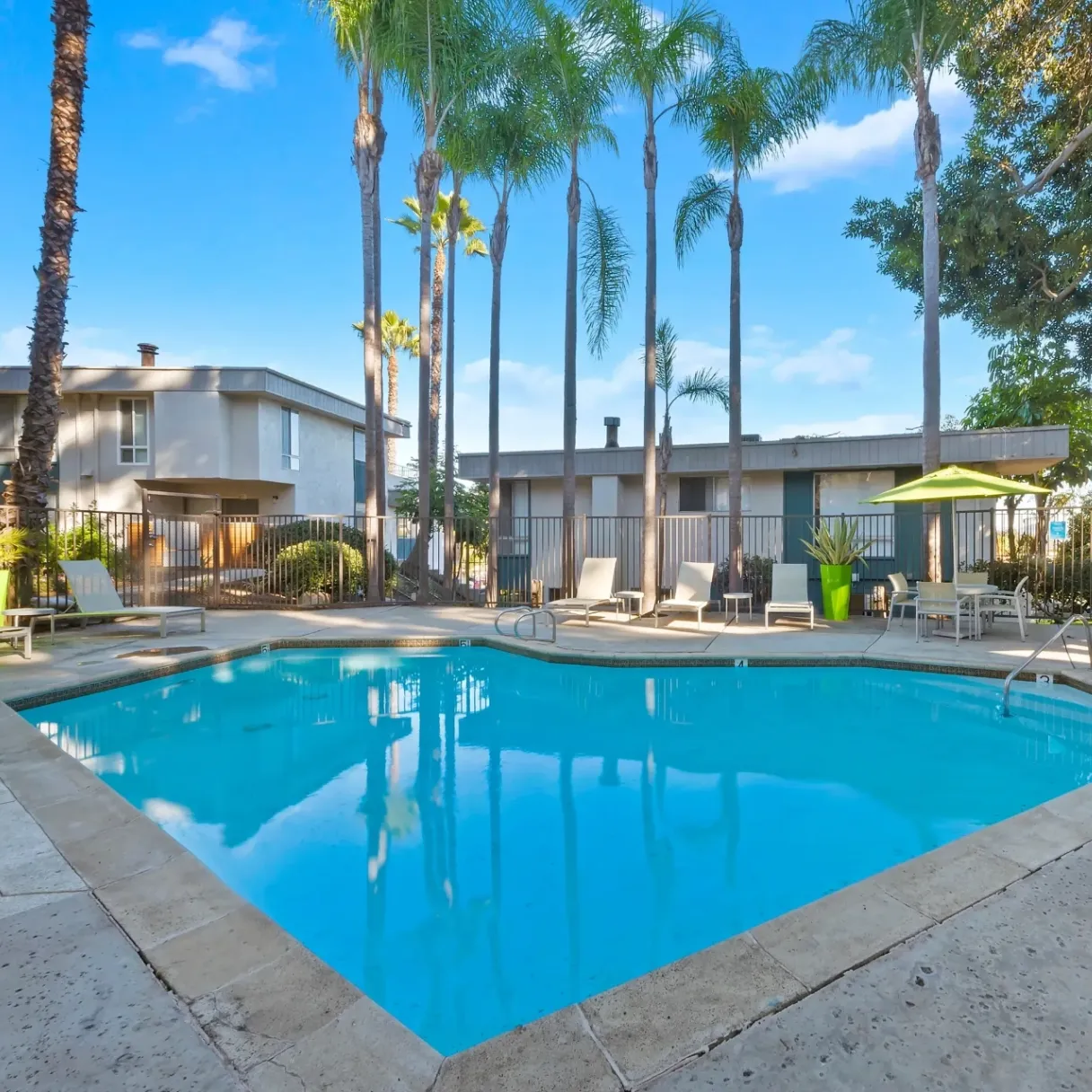 Trolley Palm Apartments gallery photo 8