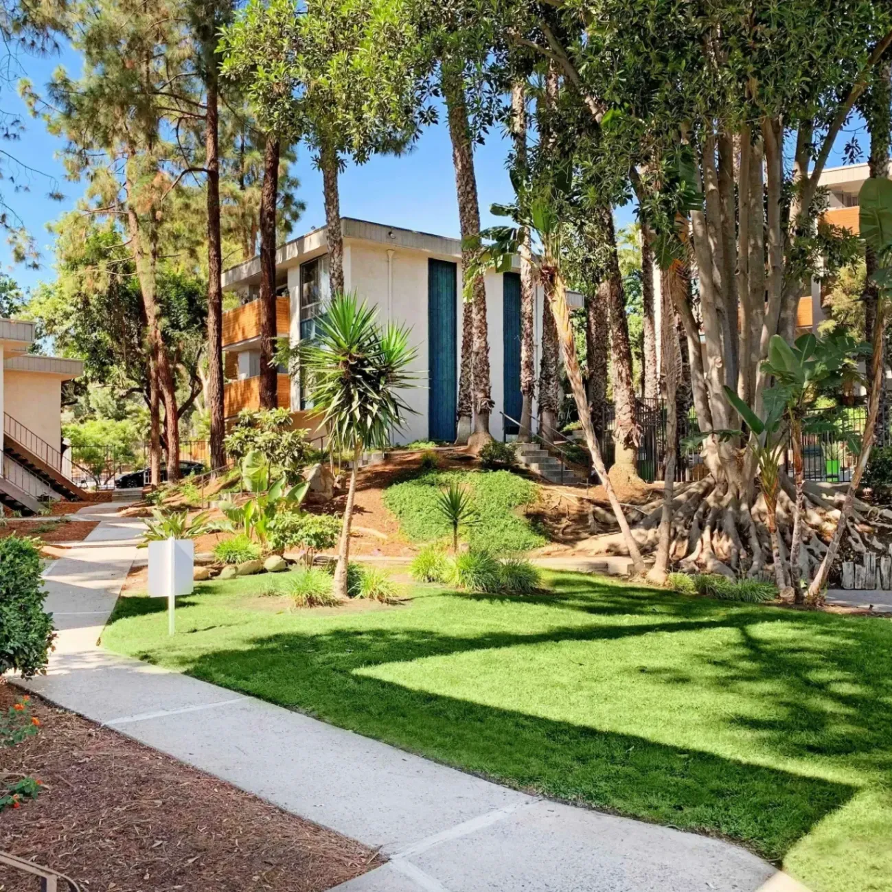 Trolley Palm Apartments gallery photo 10