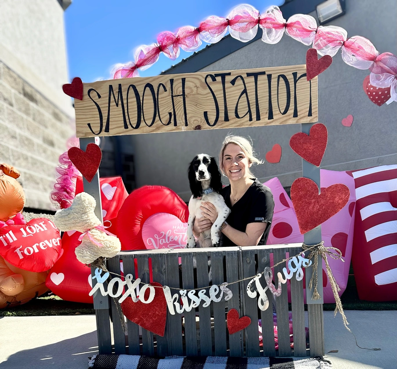 Bush Animal Clinic gallery photo 2