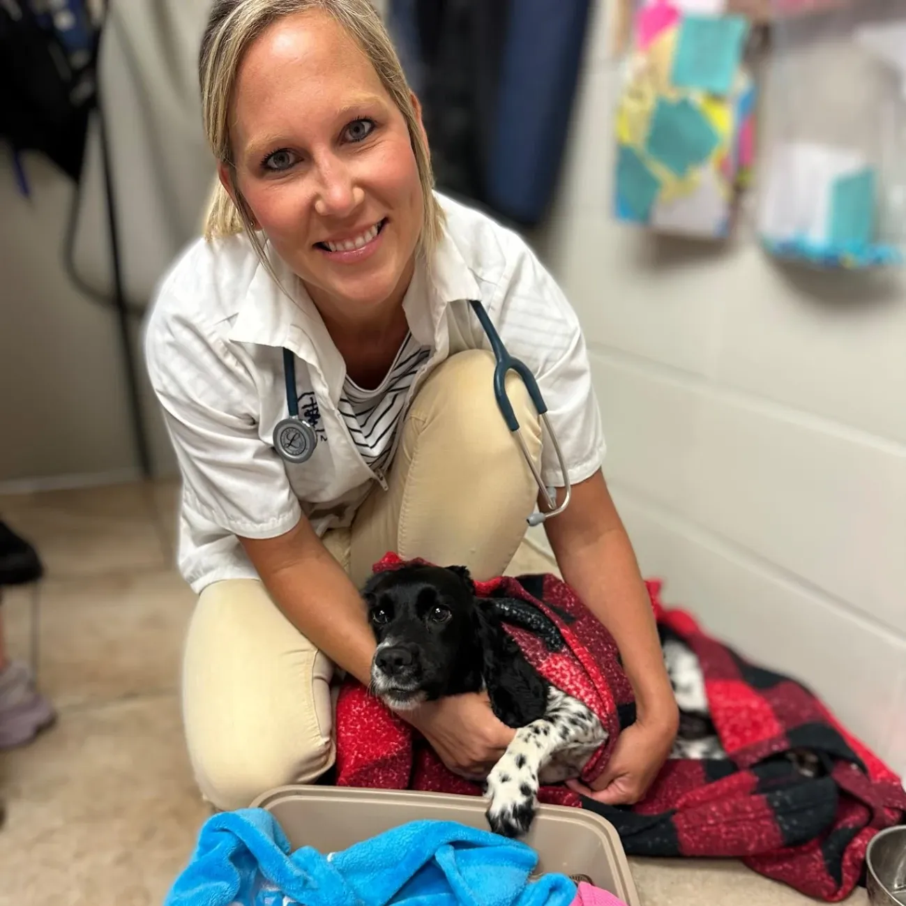 Bush Animal Clinic gallery photo 4