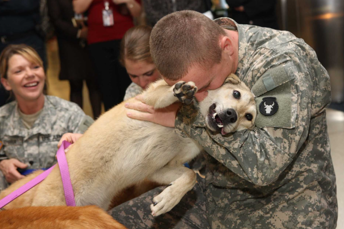Bush Animal Clinic gallery photo 5