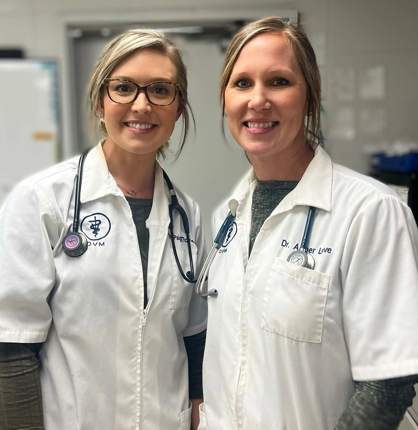 Bush Animal Clinic gallery photo 6