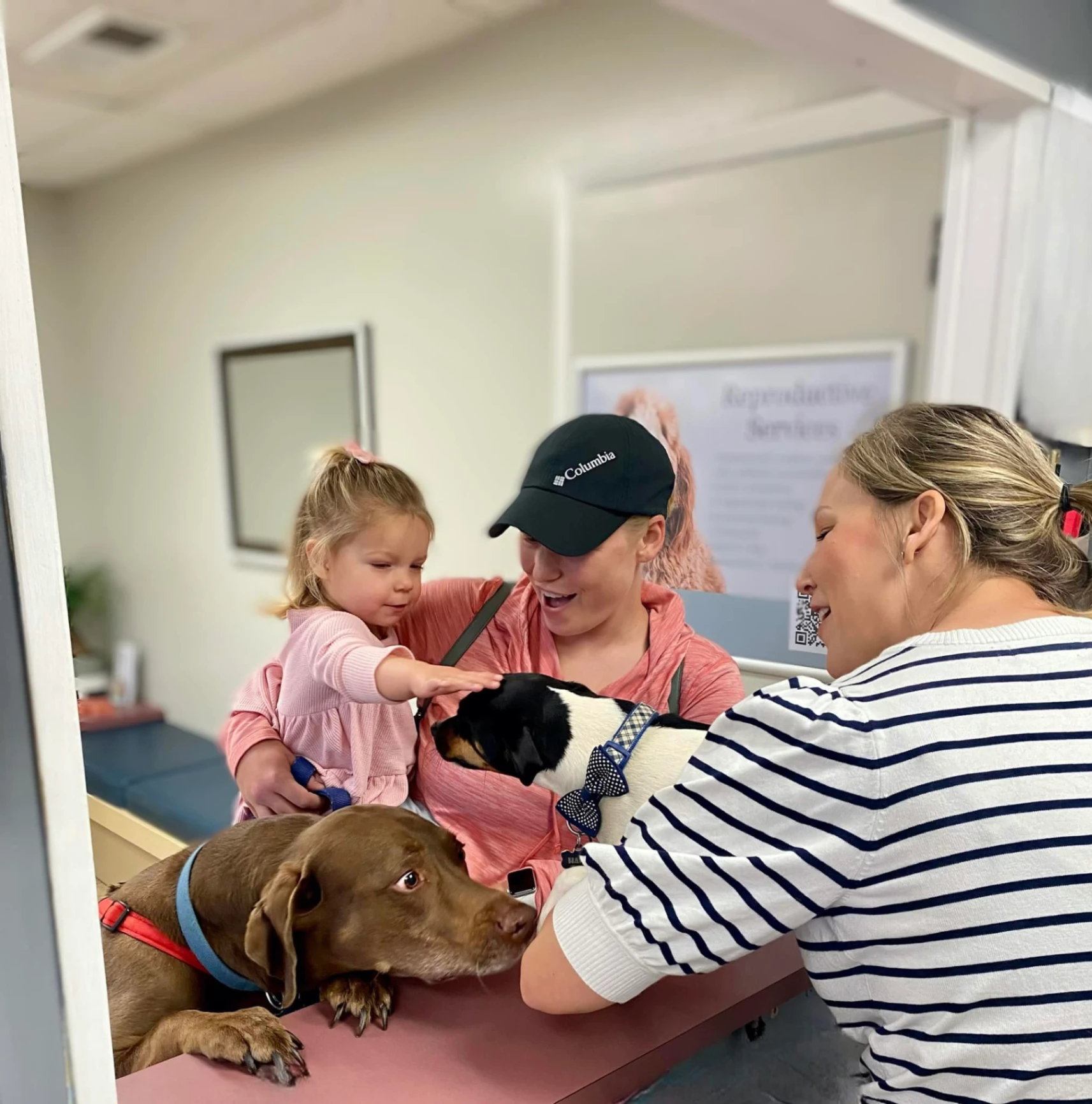 Bush Animal Clinic gallery photo 7