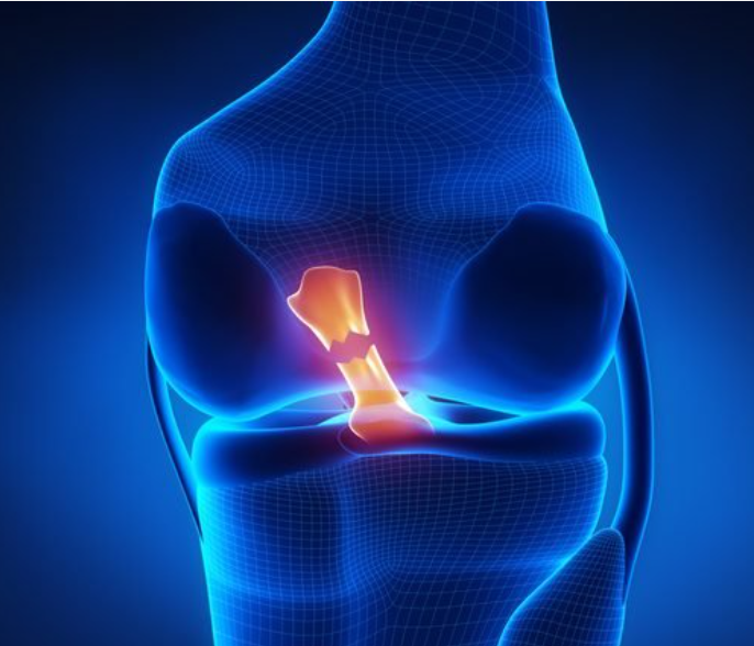 UNITED REGIONAL PHYSICIAN GROUP (URPG) gallery photo 3