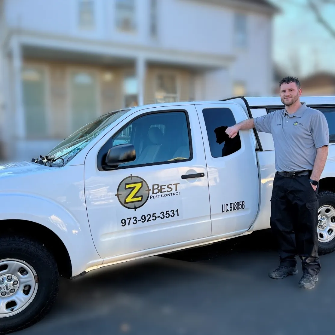 Z Best Pest Control gallery photo 1
