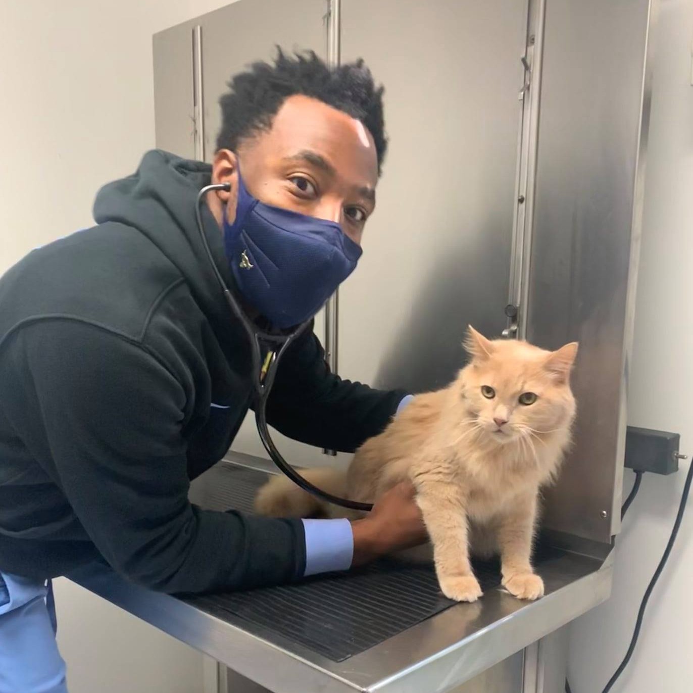 Blythewood Animal Hospital gallery photo 2