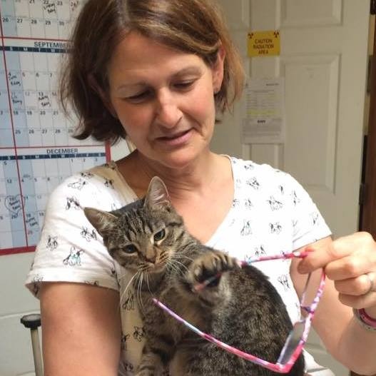 Blythewood Animal Hospital gallery photo 4