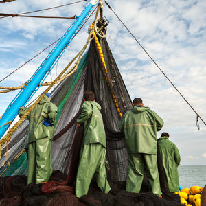 B&J Sporting Goods gallery photo 5