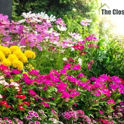 The Closers of Virginia, Inc gallery photo 2