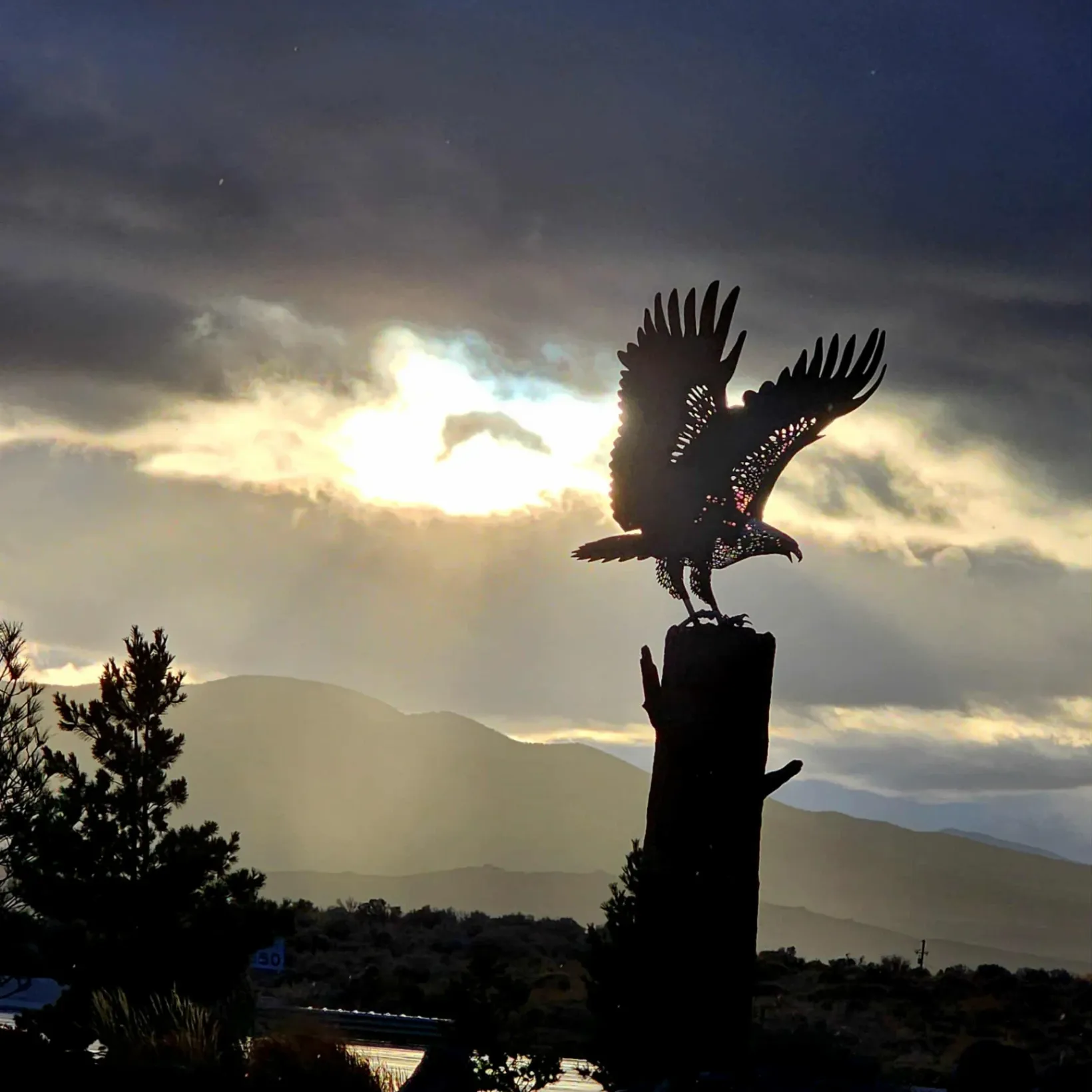 Bristlecone Wealth Management, LLC gallery photo 6