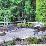 Stafford Animal Hospital gallery photo 2