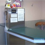 Stafford Animal Hospital gallery photo 4