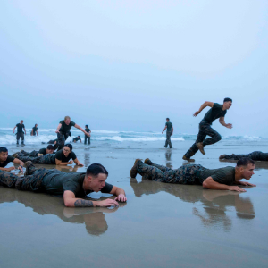 Veteran Ratings gallery photo 3