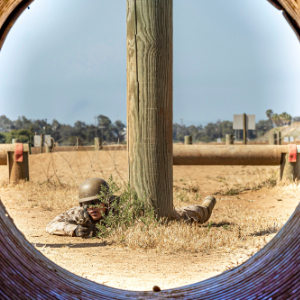 Veteran Ratings gallery photo 4