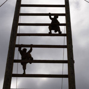 Veteran Ratings gallery photo 5