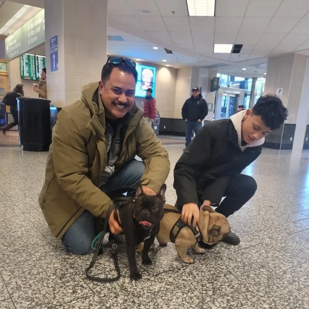 Dog Gone Taxi gallery photo 9