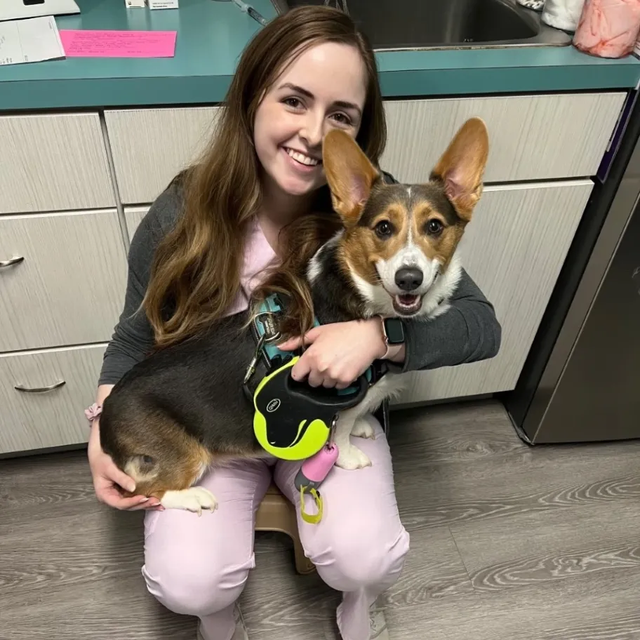 Minnieville Animal Hospital gallery photo 1