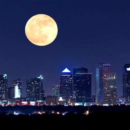 Goodnight Orthodontics gallery photo 4