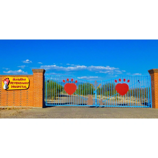 Madera Veterinary Hospital gallery photo 3