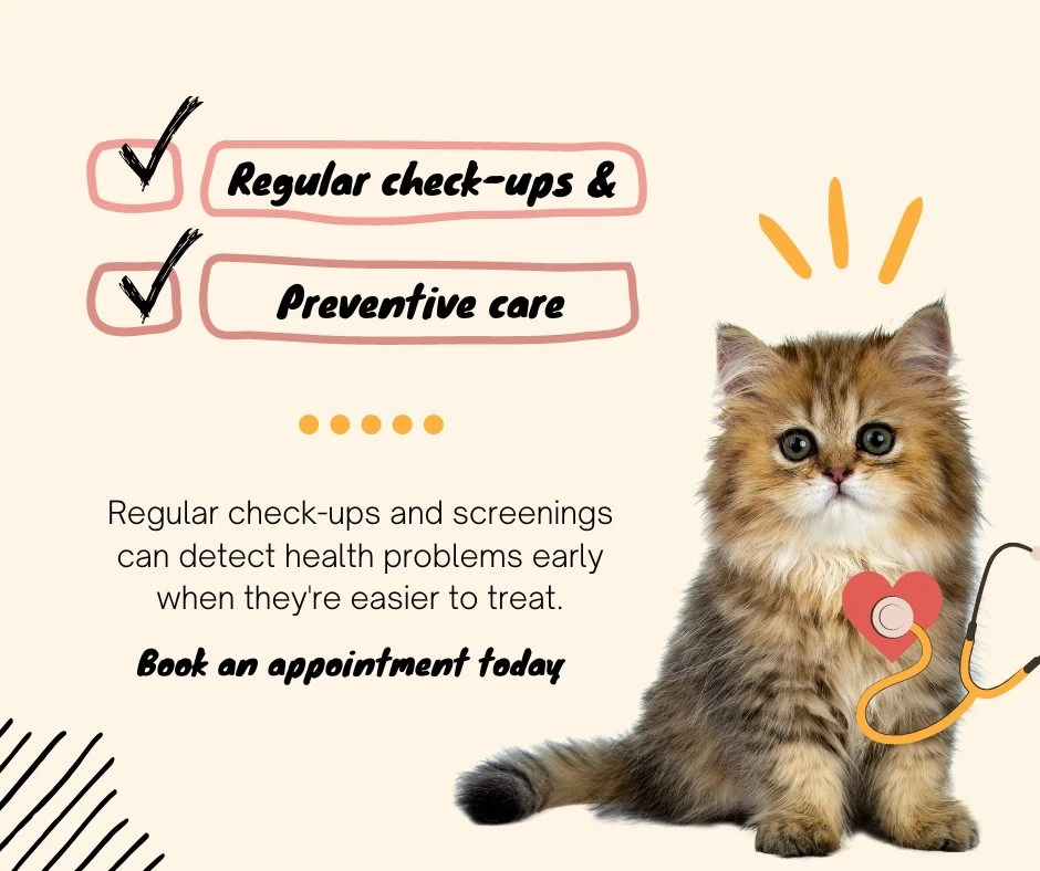 Madera Veterinary Hospital gallery photo 6