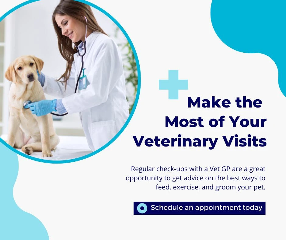 Madera Veterinary Hospital gallery photo 7