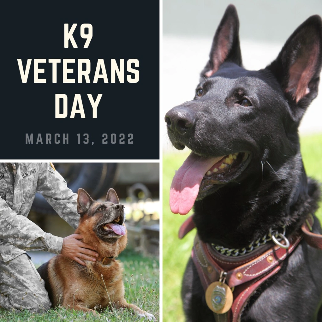 Madera Veterinary Hospital gallery photo 8