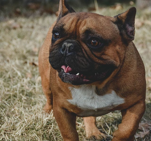 Madera Veterinary Hospital gallery photo 10