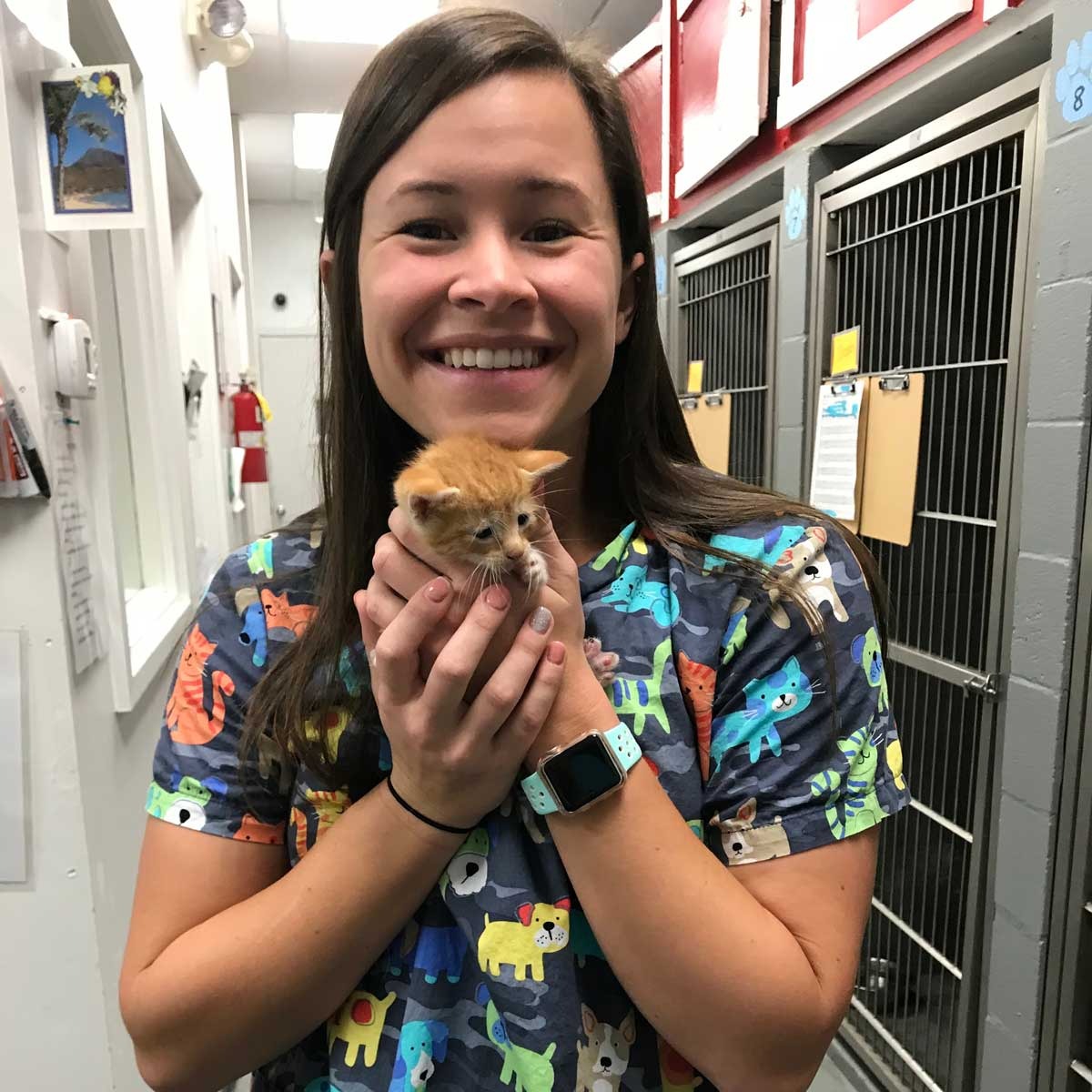 Animal House Veterinary Center gallery photo 1